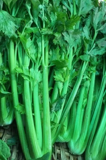 Agua detox con apio, limón y jengibre en un vaso fresco