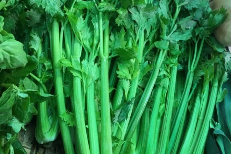 Agua detox con apio, limón y jengibre en un vaso fresco